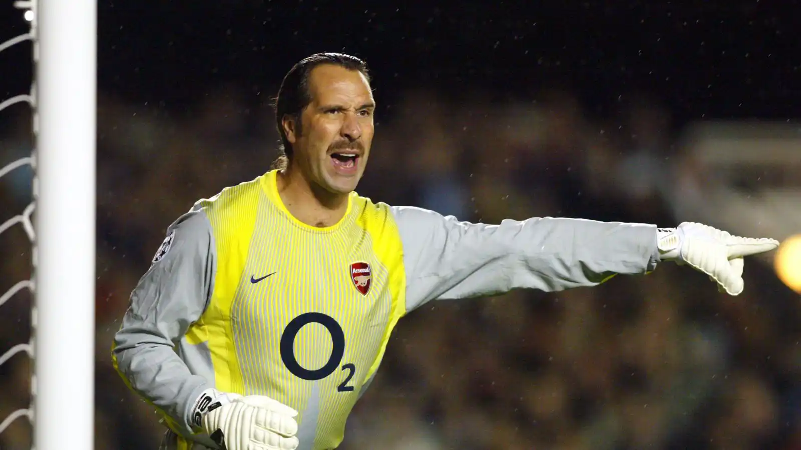 David Seaman